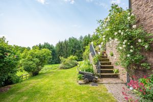 Garden- click for photo gallery